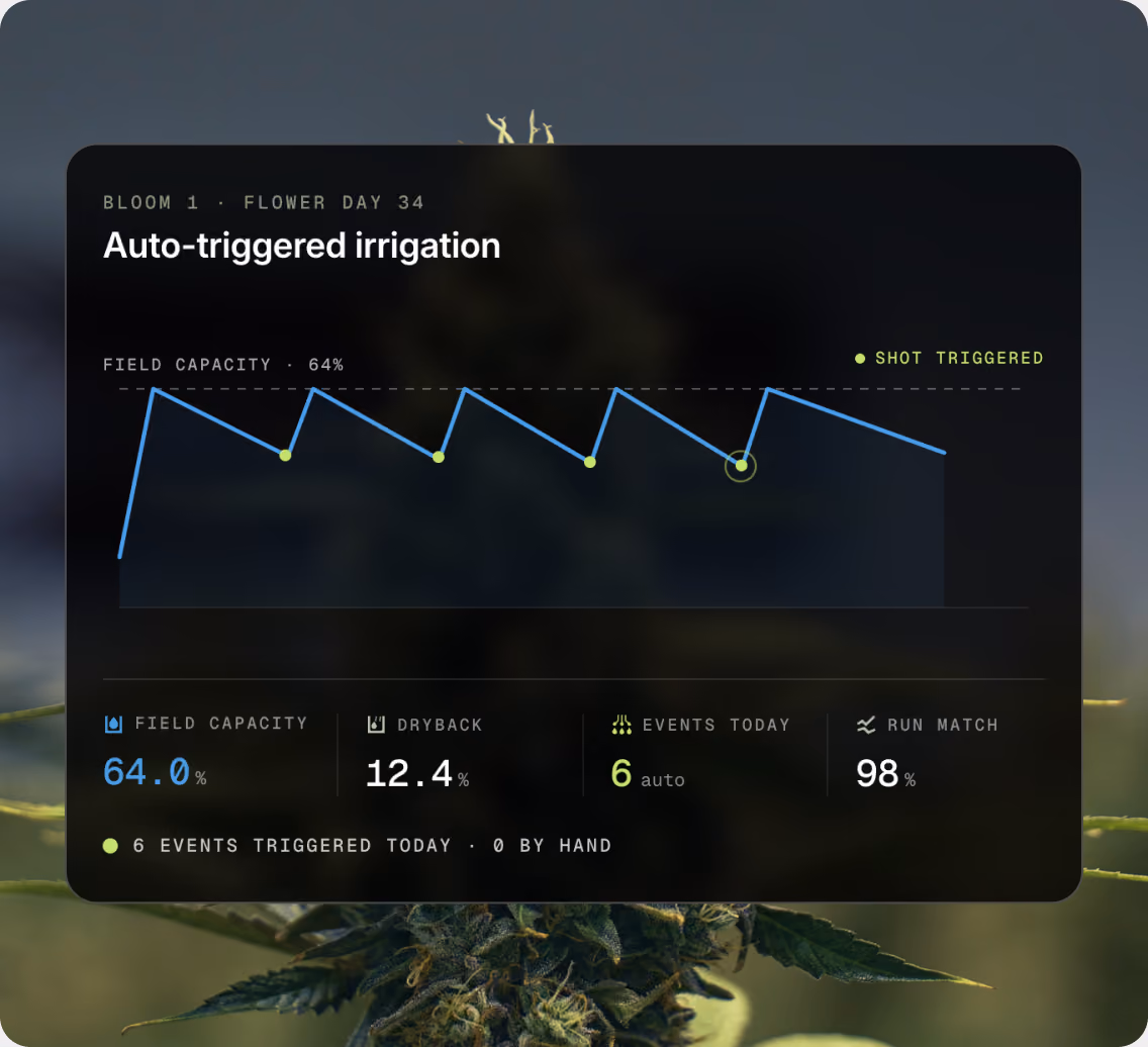 AROYA software overview screen showing room conditions and irrigation status above a flowering canopy