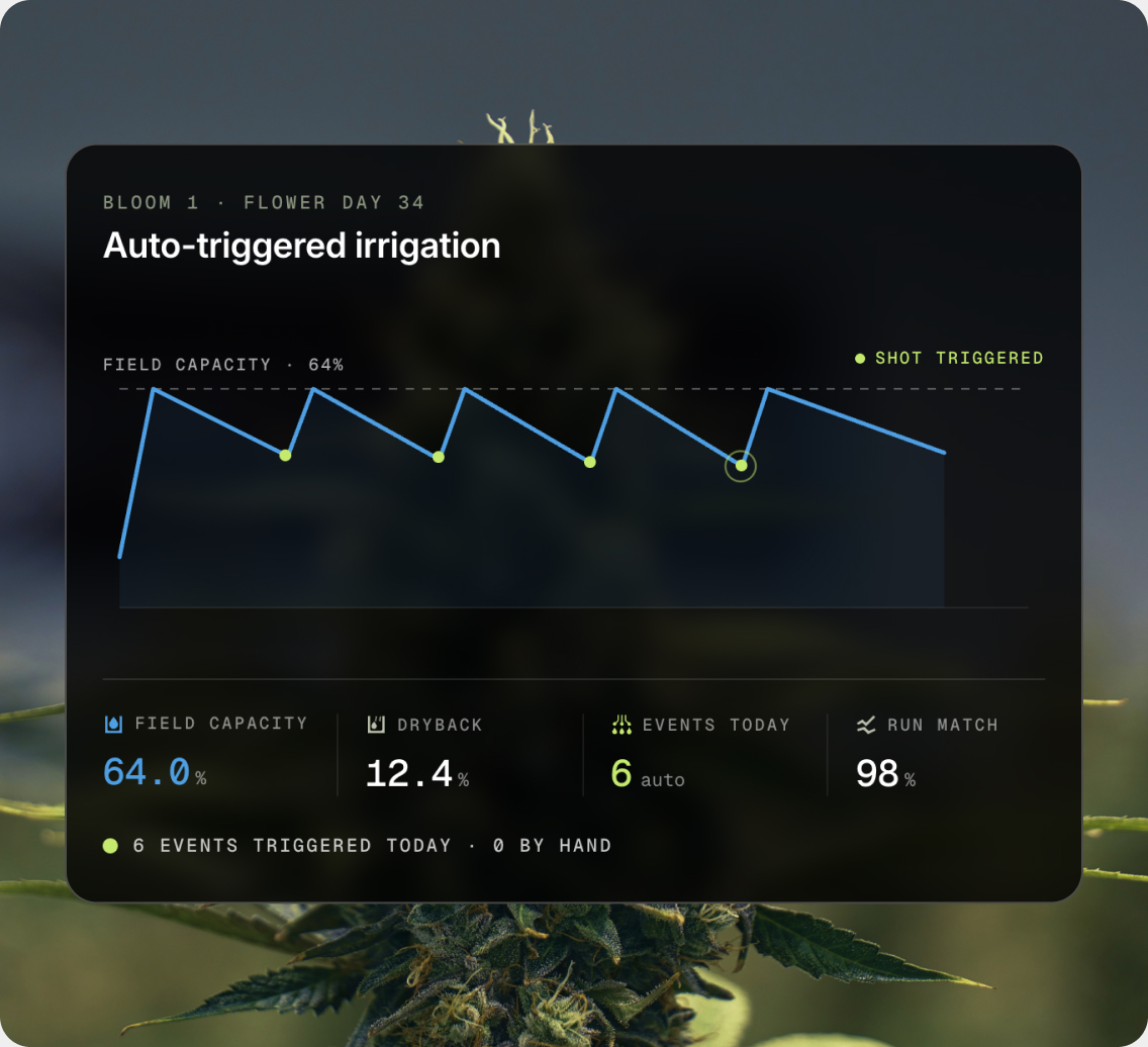 AROYA software overview screen showing room conditions and irrigation status above a flowering canopy