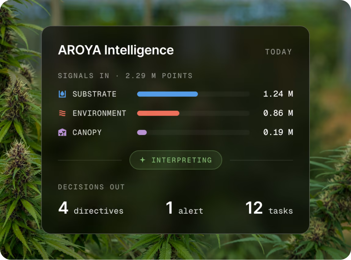 AROYA Intelligence panel showing signals in from substrate, environment and canopy being interpreted into directives, alerts and tasks