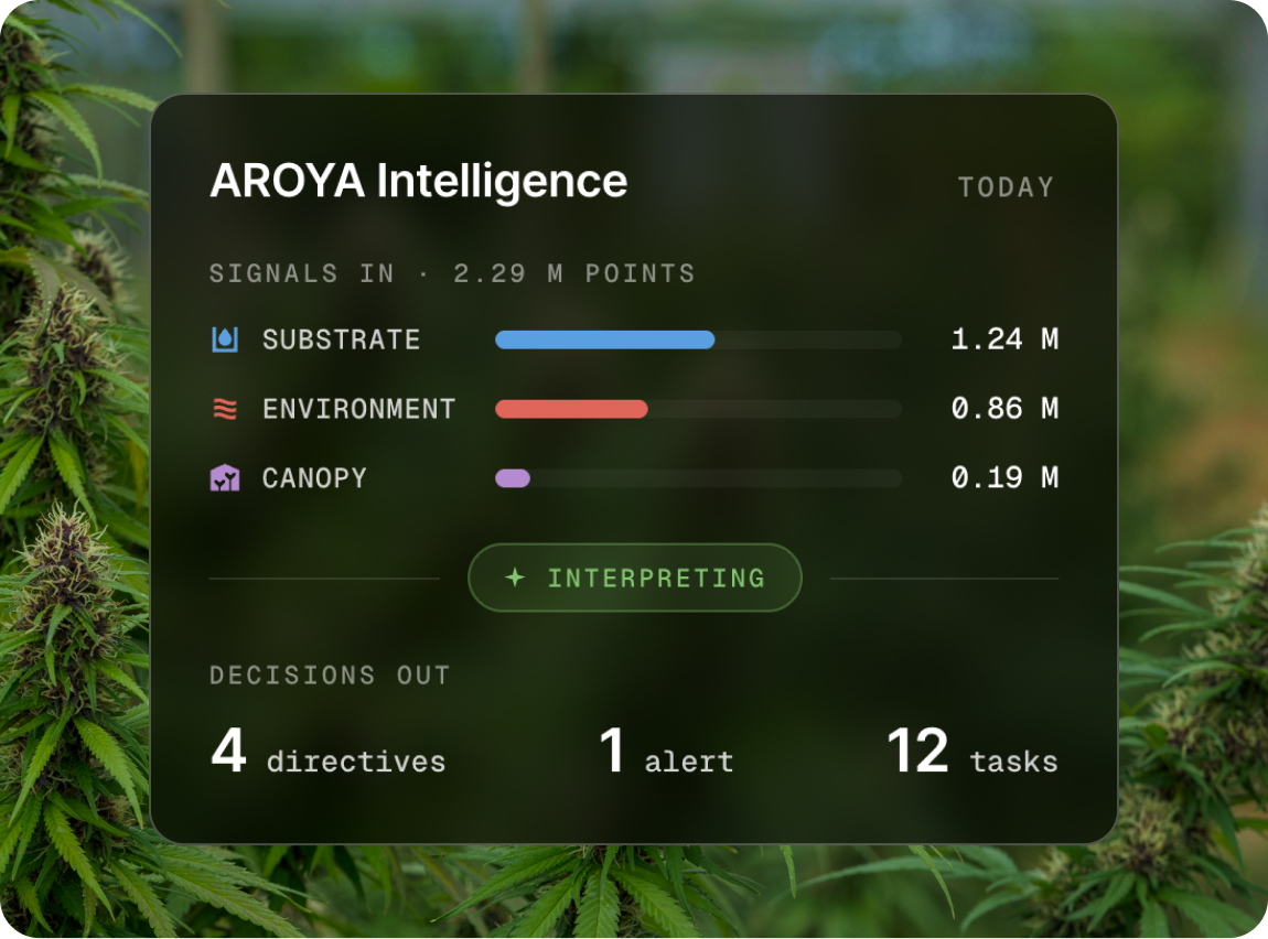 AROYA Intelligence panel showing signals in from substrate, environment and canopy being interpreted into directives, alerts and tasks