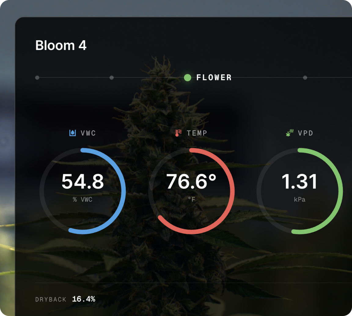 AROYA software showing the Bloom 4 room in flower with live water content, temperature and VPD readings and dryback percentage
