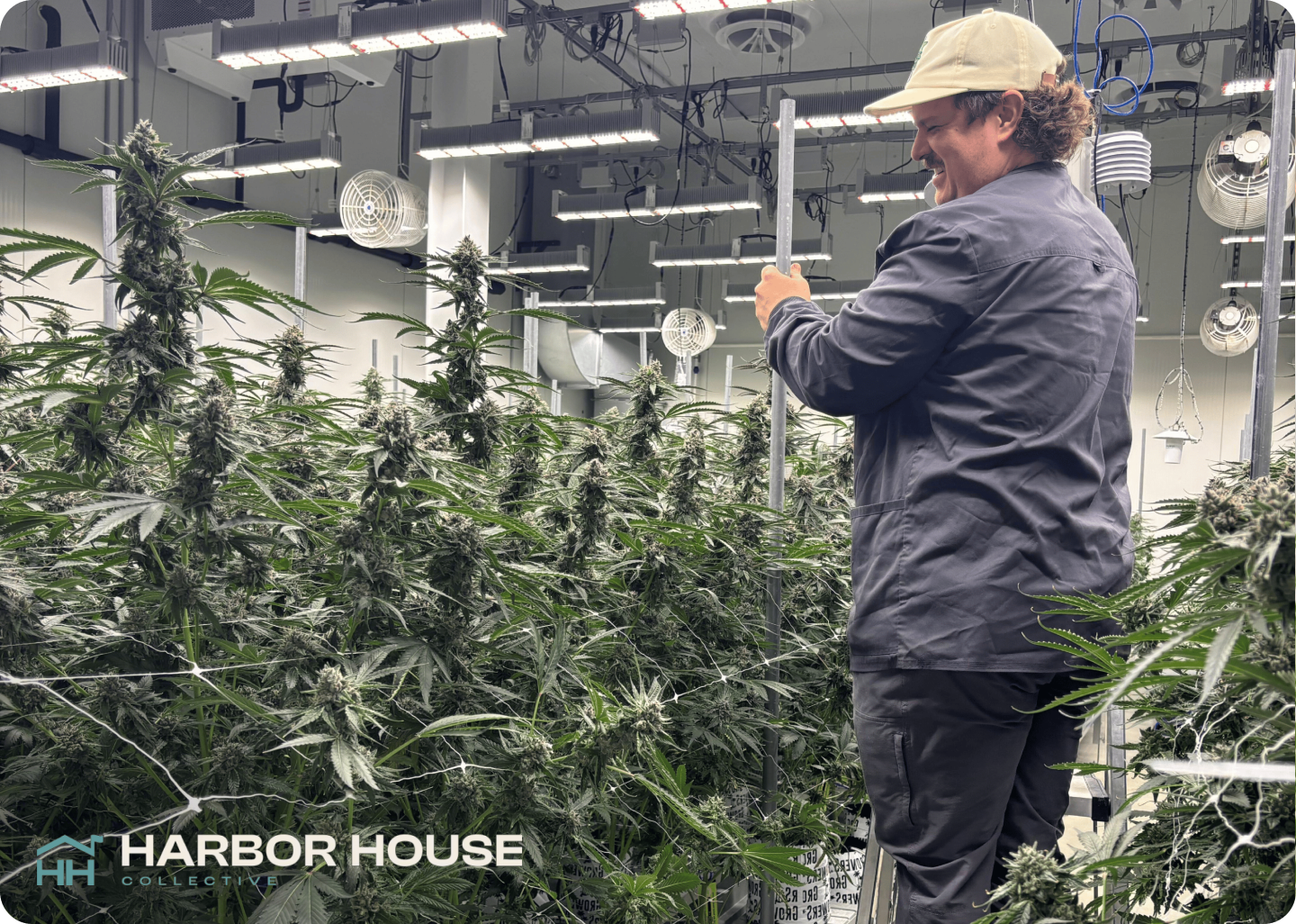 Harbor House testimonial