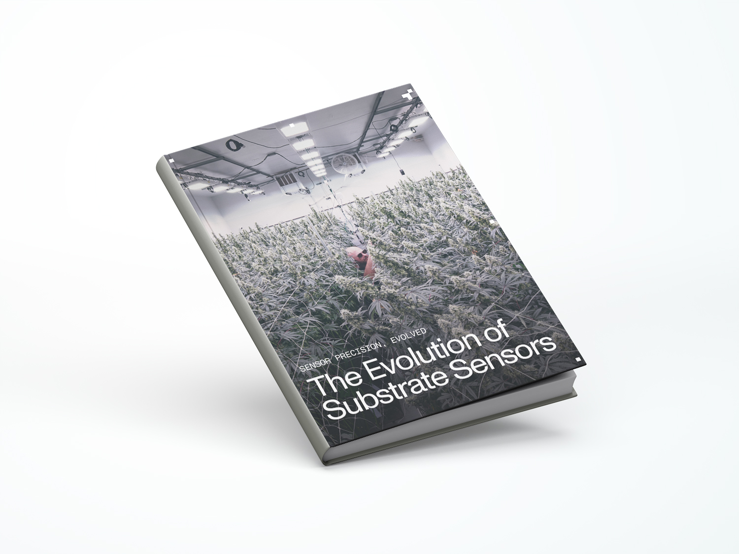 The evolution of substrate sensors