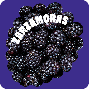Zarzamoras