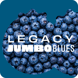 Legacy Jumbo Blues