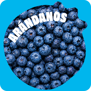 Arándanos