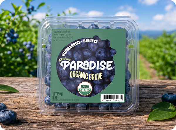 Empaque de blueberries orgánicos Berries Paradise