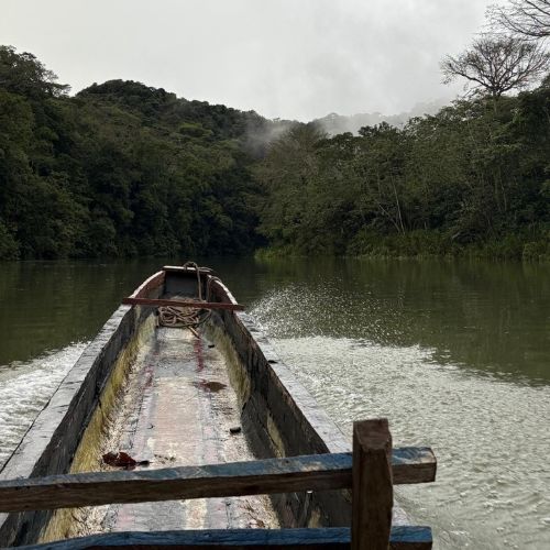 Vue sur l'avant d'un bateau en bois naviguant sur une rivière entourée d'une forêt verdoyante et dense et de collines brumeuses.