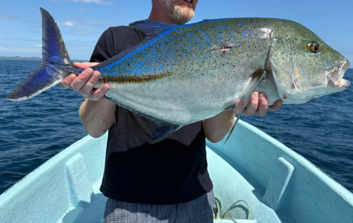 Homme sur un bateau tenant un grand poisson bleu et argenté au-dessus de l'océan sous un ciel dégagé.