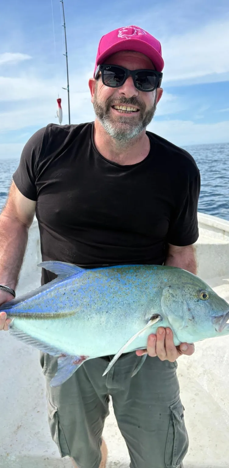 Homme portant une casquette rose et des lunettes de soleil, tenant un grand poisson bleu sur un bateau en mer.