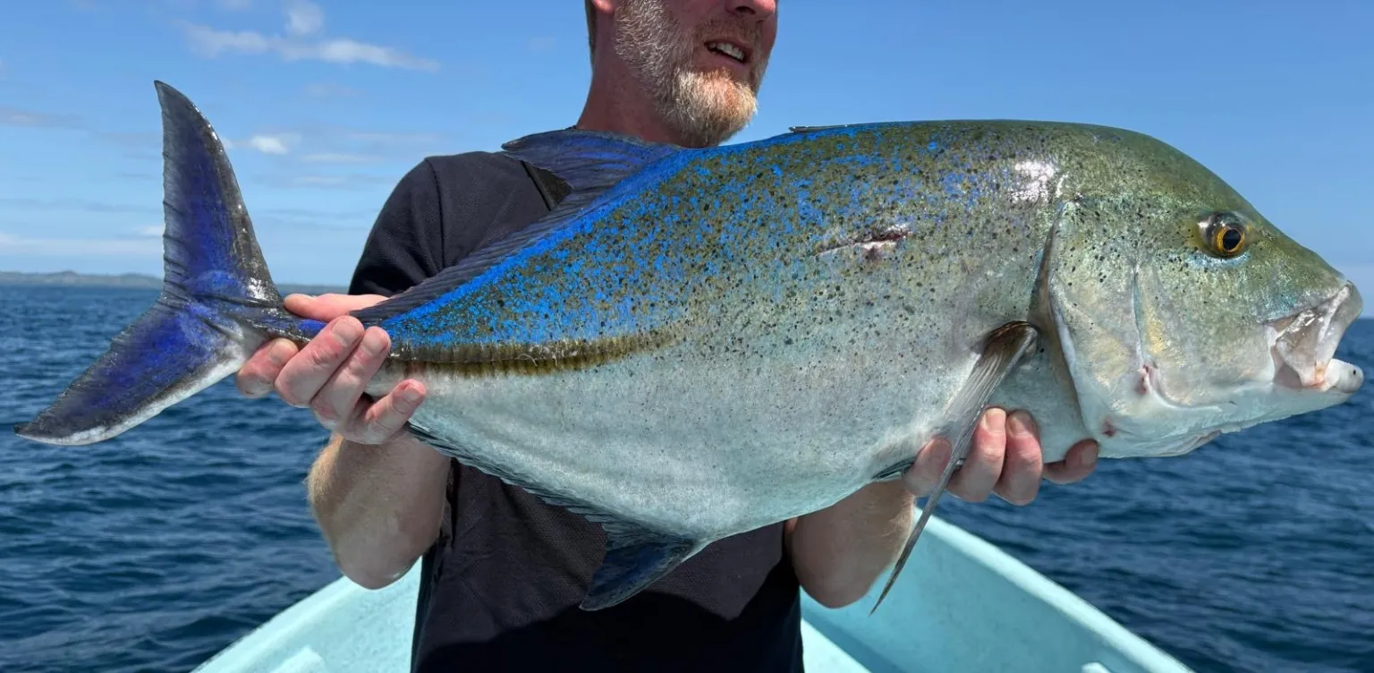 Homme tenant un grand poisson bleu et argenté sur un bateau avec l'océan et le ciel en arrière-plan.
