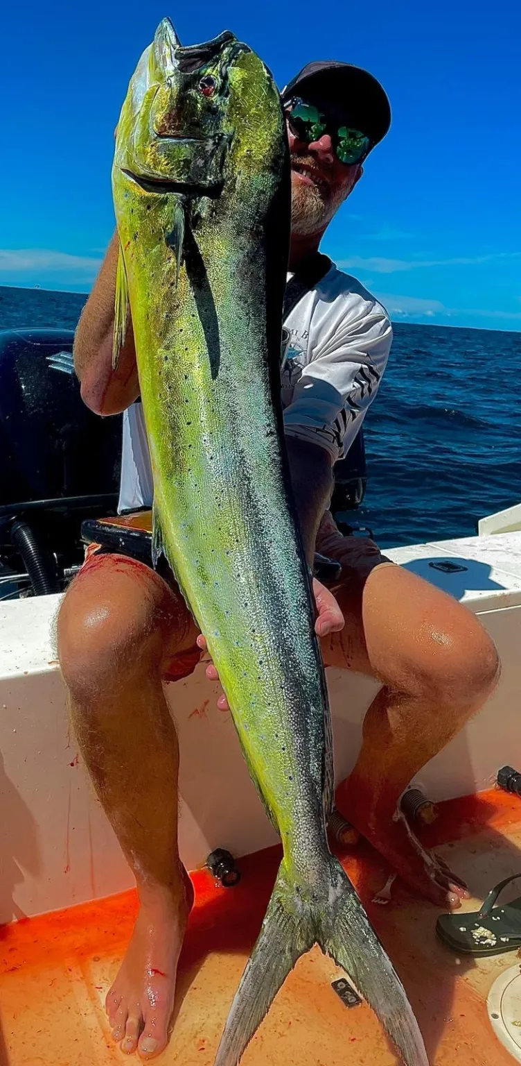 Homme tenant un grand mahi-mahi vert et jaune (dorade coryphène) sur un bateau avec l'océan et un ciel bleu en arrière-plan.