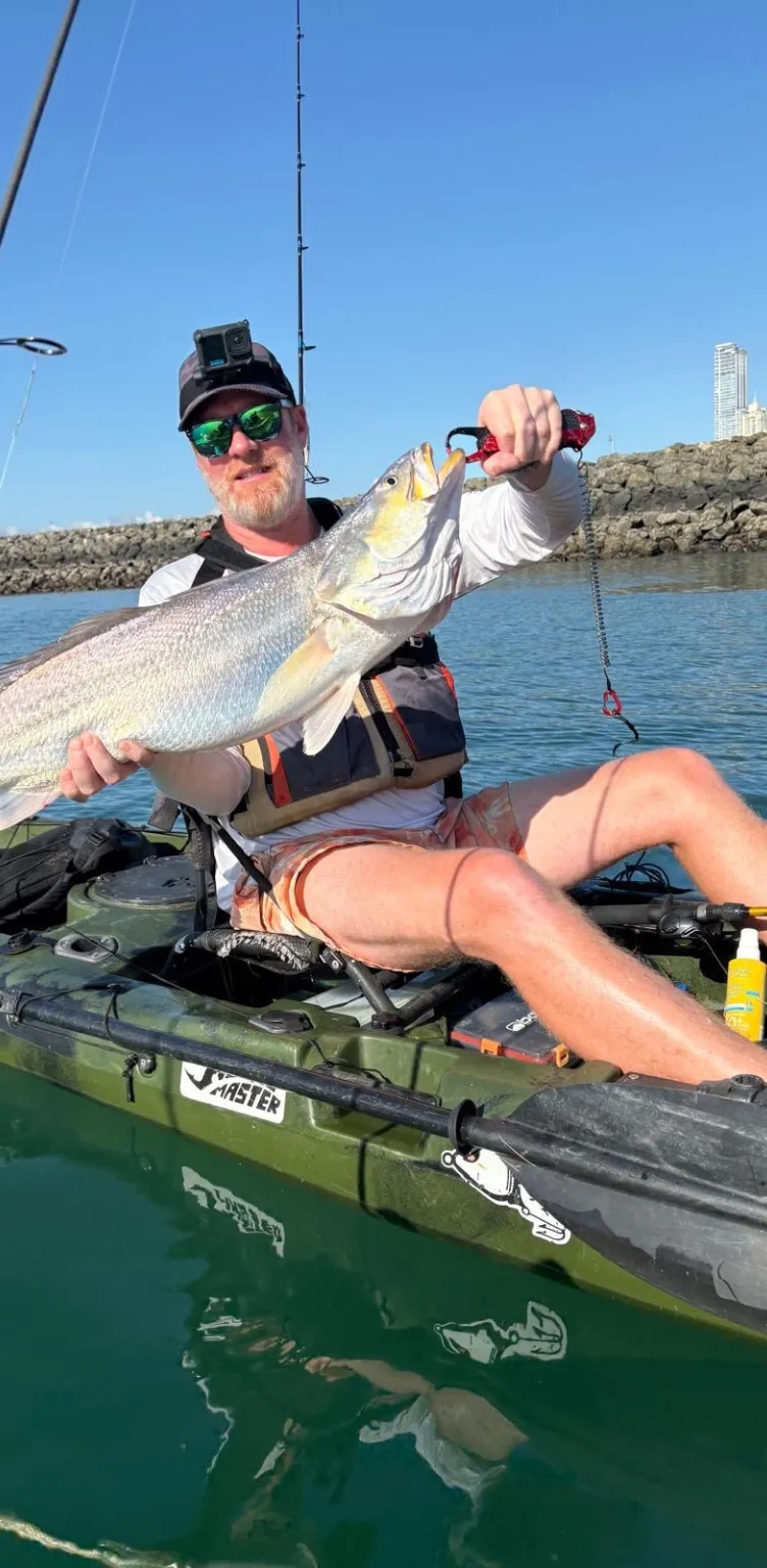 Homme en kayak tenant un gros poisson, avec une canne à pêche et une côte rocheuse en arrière-plan sous un ciel dégagé.