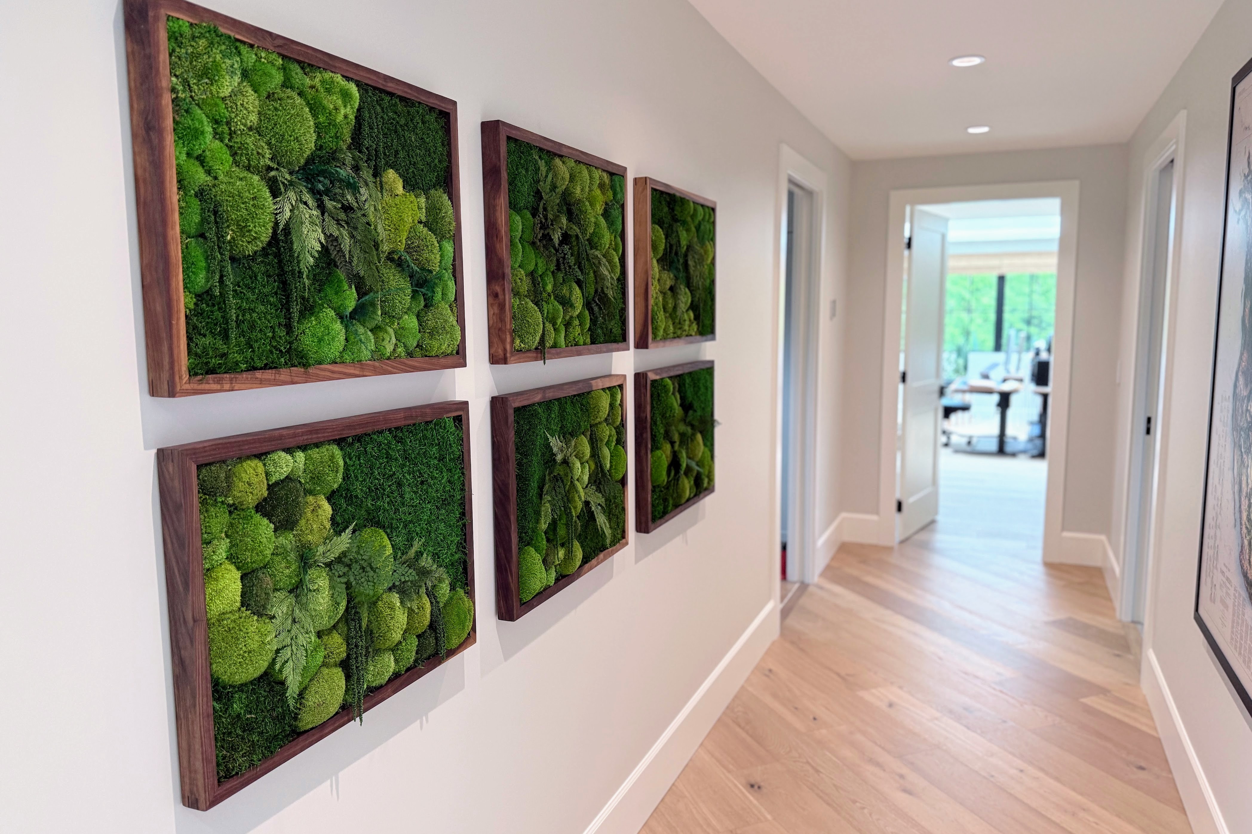 ModMoss moss art panels installed in a hallway, ModPots