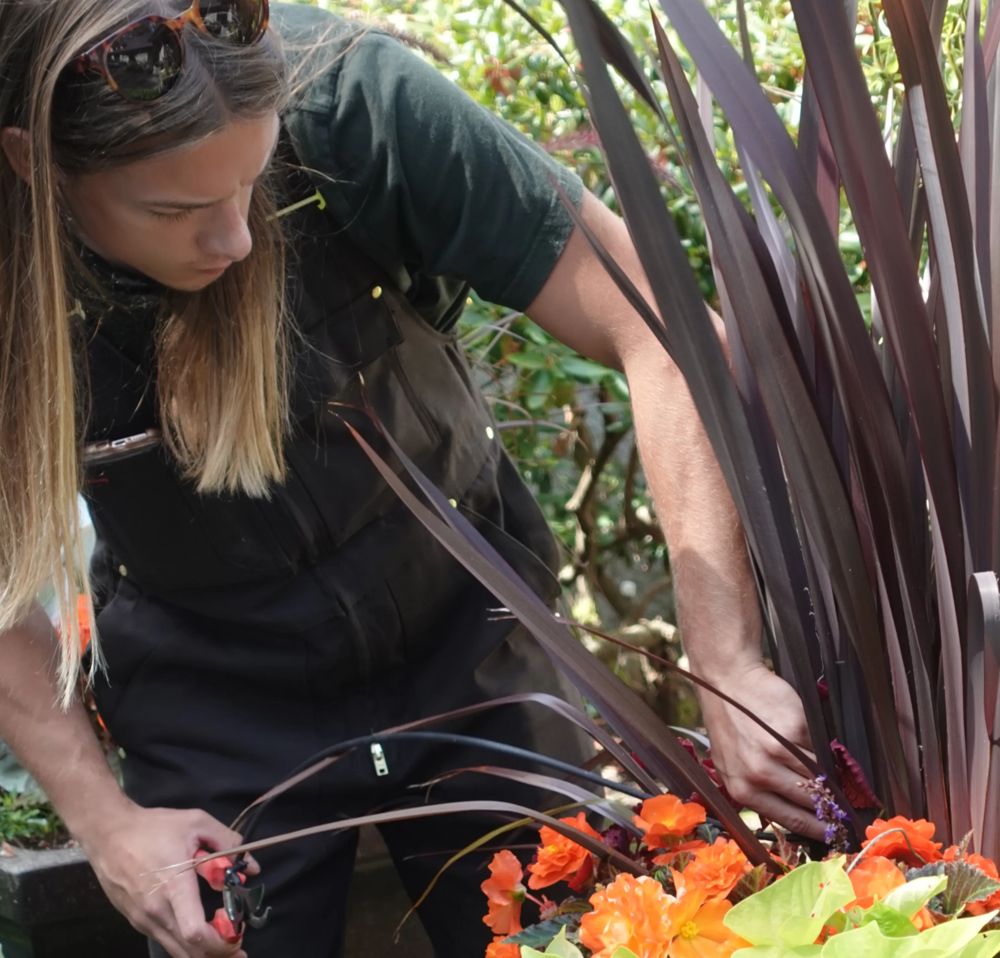 Jen Lasko planting dark foliage and orange flowers into a planter