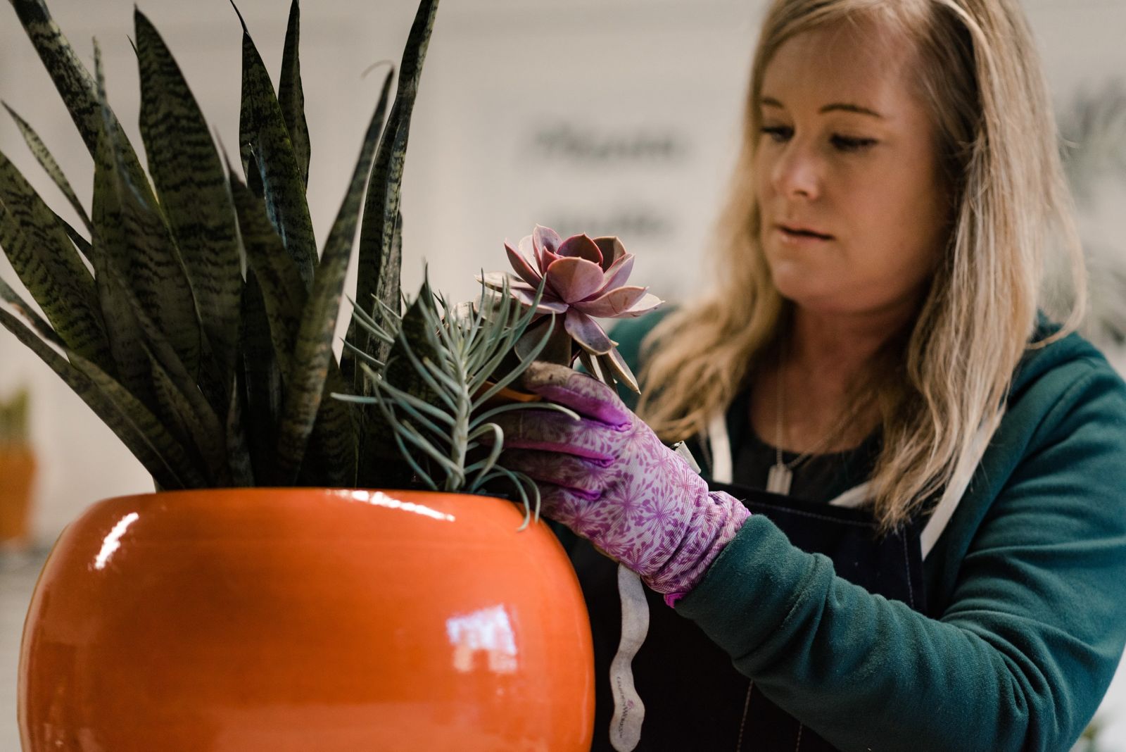 Jen Lasko styling succulents and spiky foliage in an orange planter