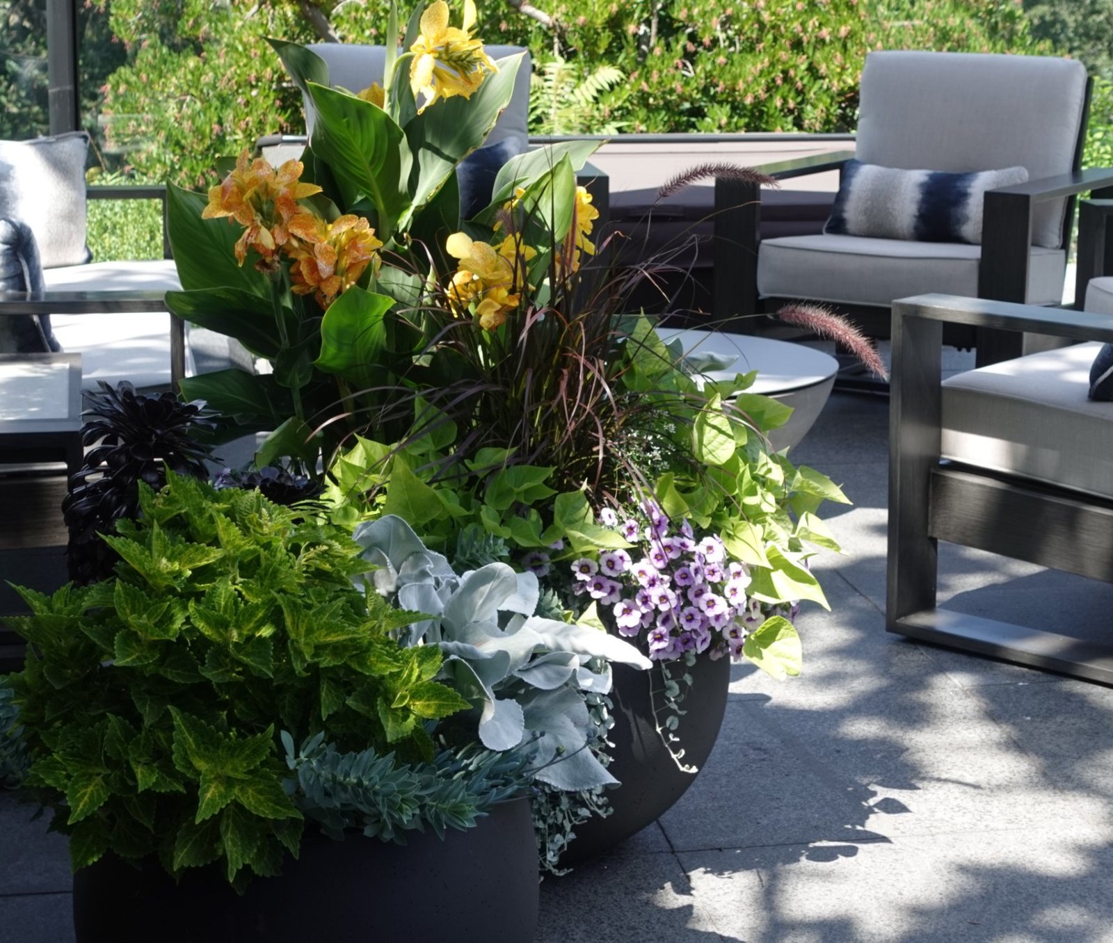 Finished patio with layered planters of canna lilies, coleus, dusty miller and trailing calibrachoa beside outdoor lounge chairs
