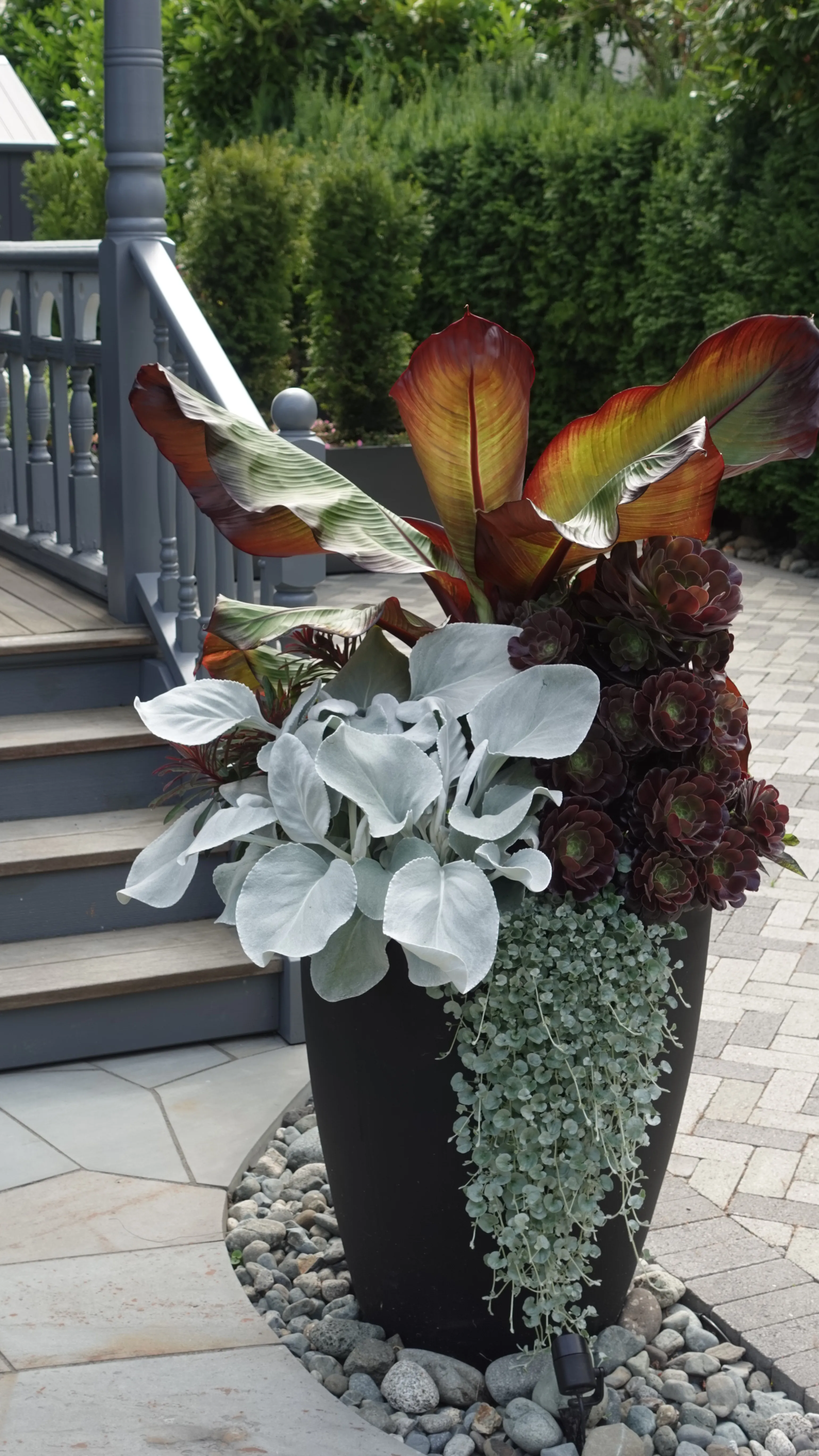 Planter vignette defining an outdoor room on the James Bay Residence patio
