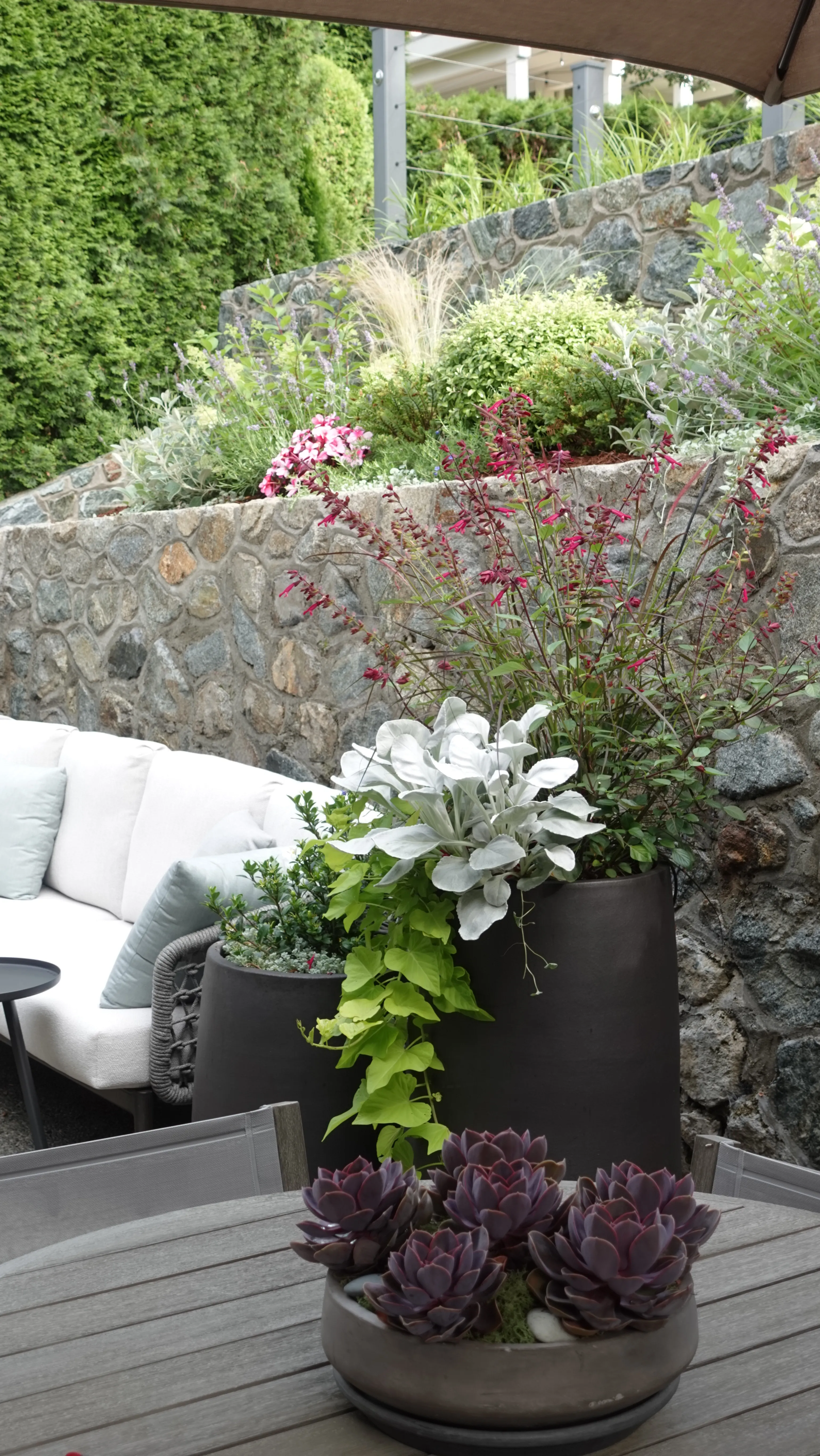 Garden bed planting within retaining walls at the Strawberry Vale Residence