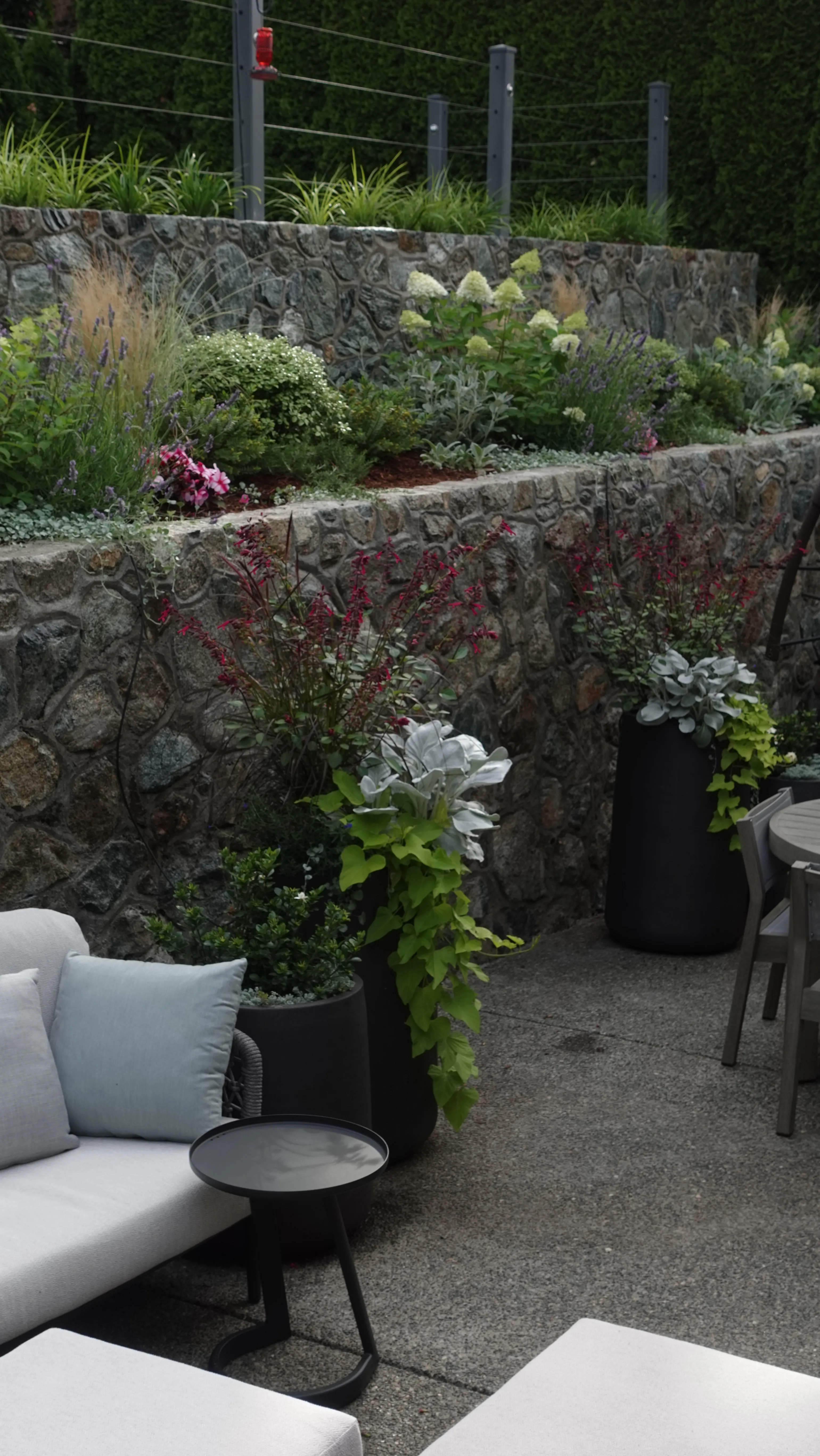 Backyard patio planting at the Strawberry Vale Residence