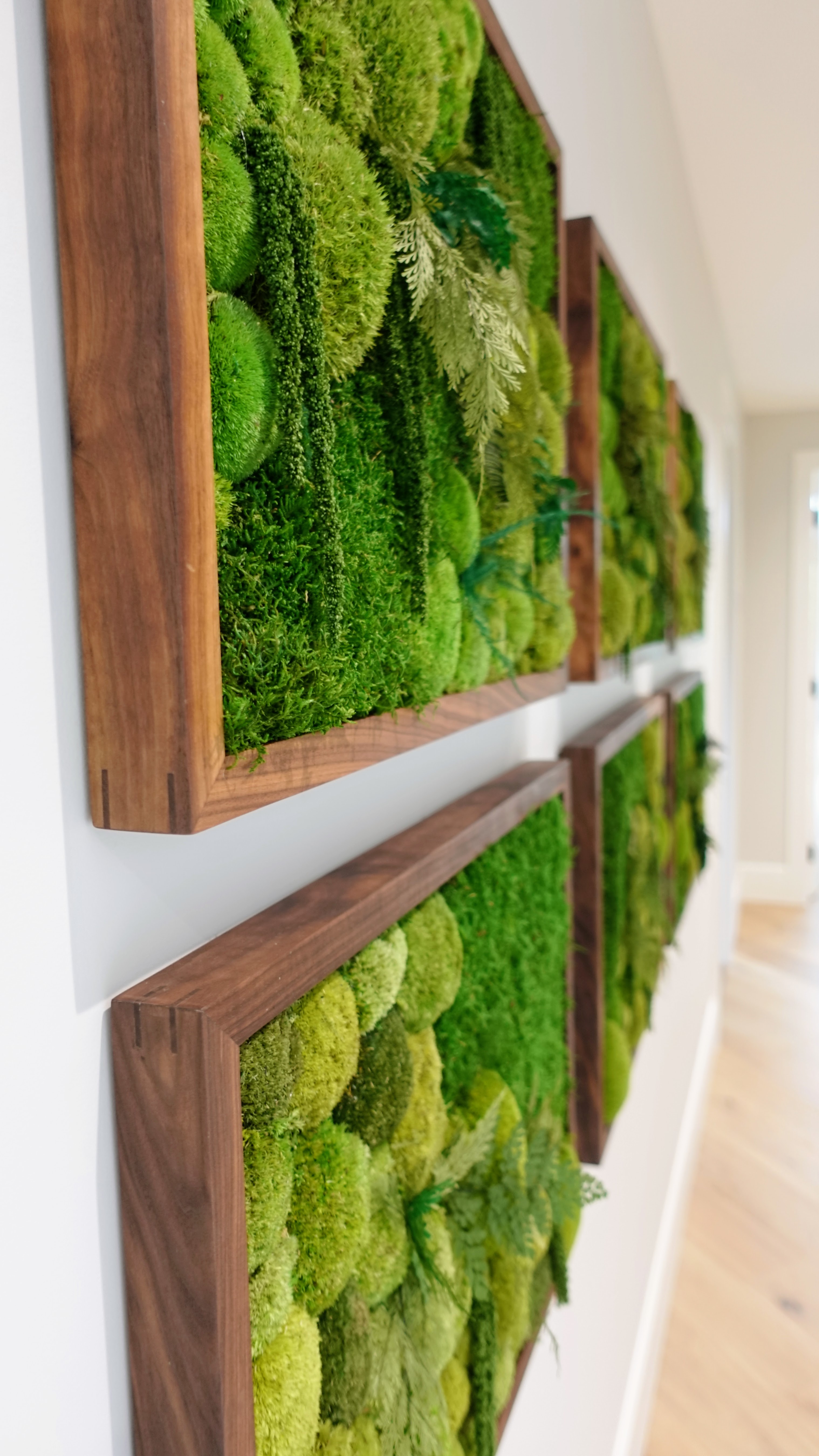 Close-up of a preserved moss art wall installation with ferns, in a private residence, ModPots design