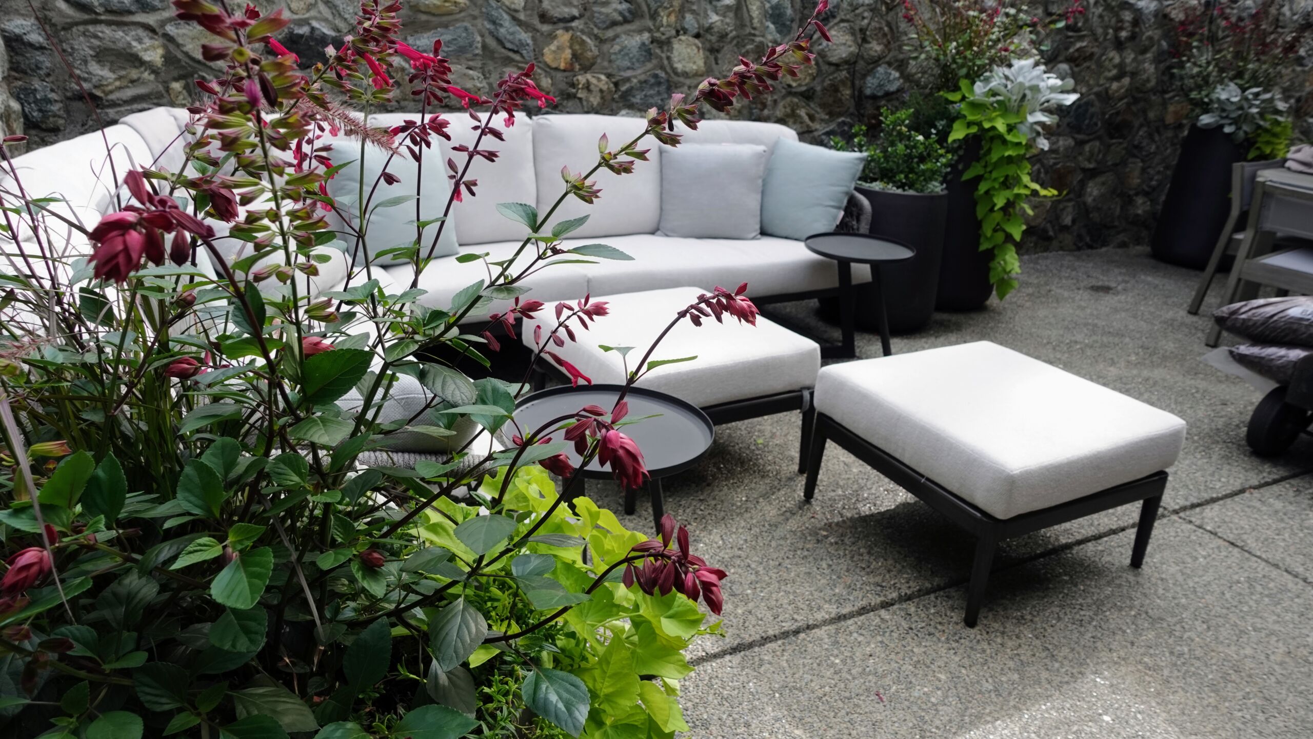 Outdoor sectional sofa with flowering salvia and statement planters against a stone wall at the Strawberry Vale backyard