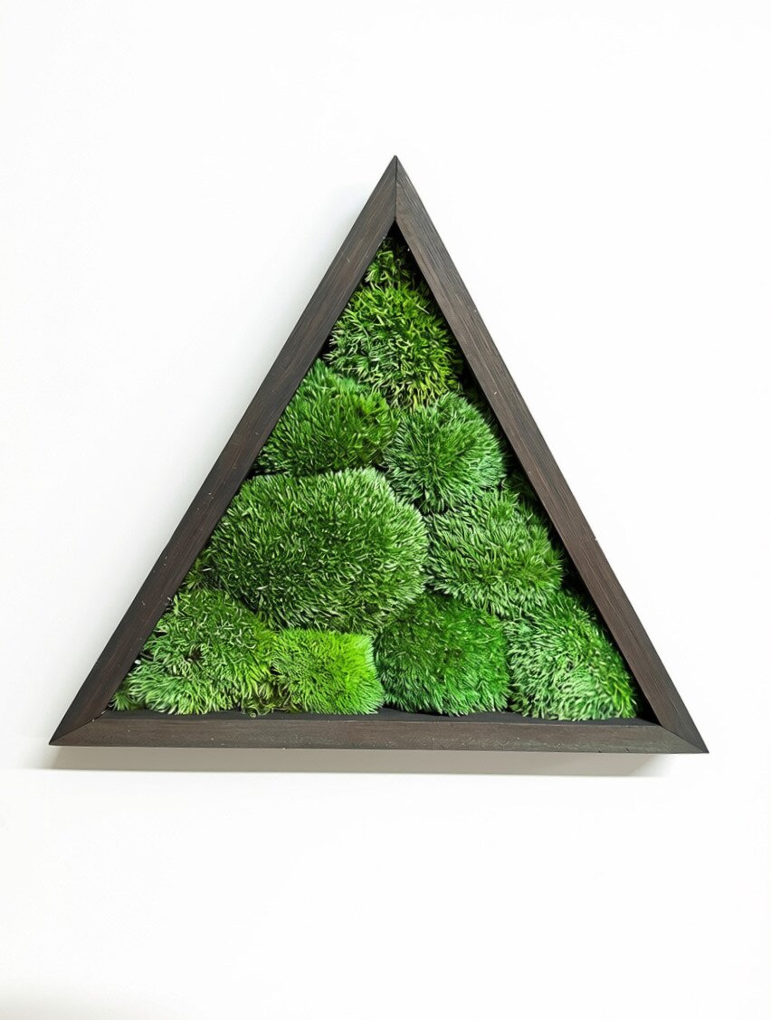 ModMoss Triangle