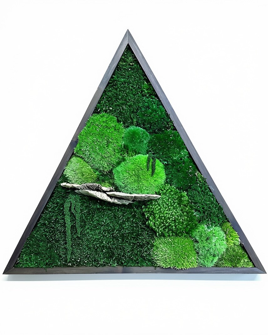 Deluxe ModMoss Triangle