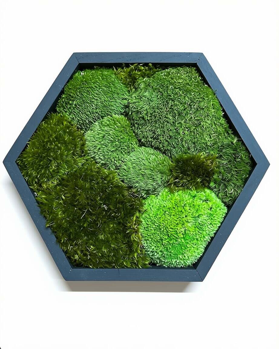 ModMoss Hex