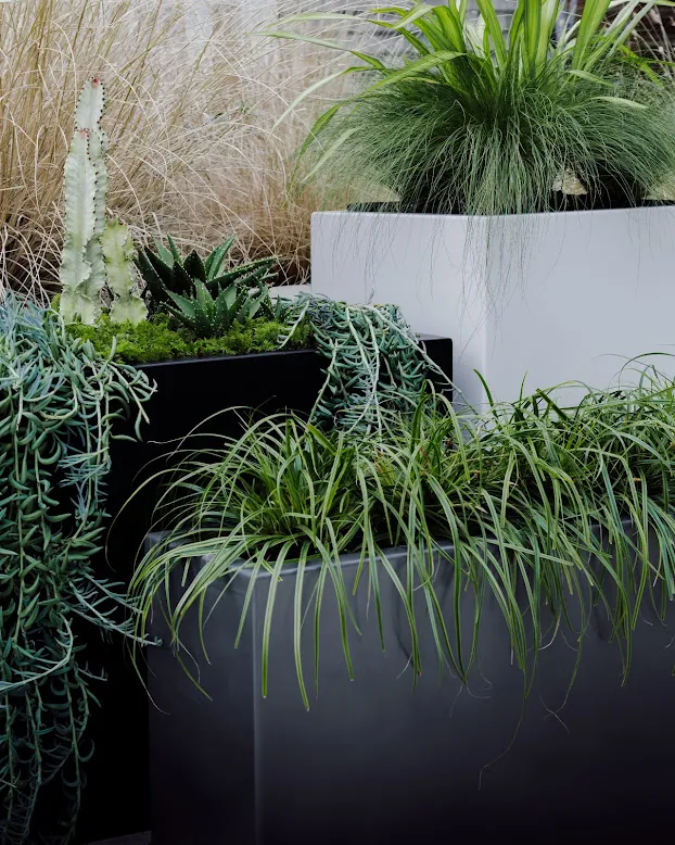 ModPots botanical design for a trade partnership project with a designer or developer