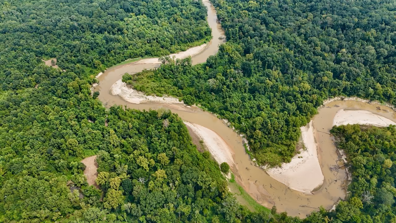 Aerial view of Mississippi river flowing through a dense green forest with sandy banks along the water.
