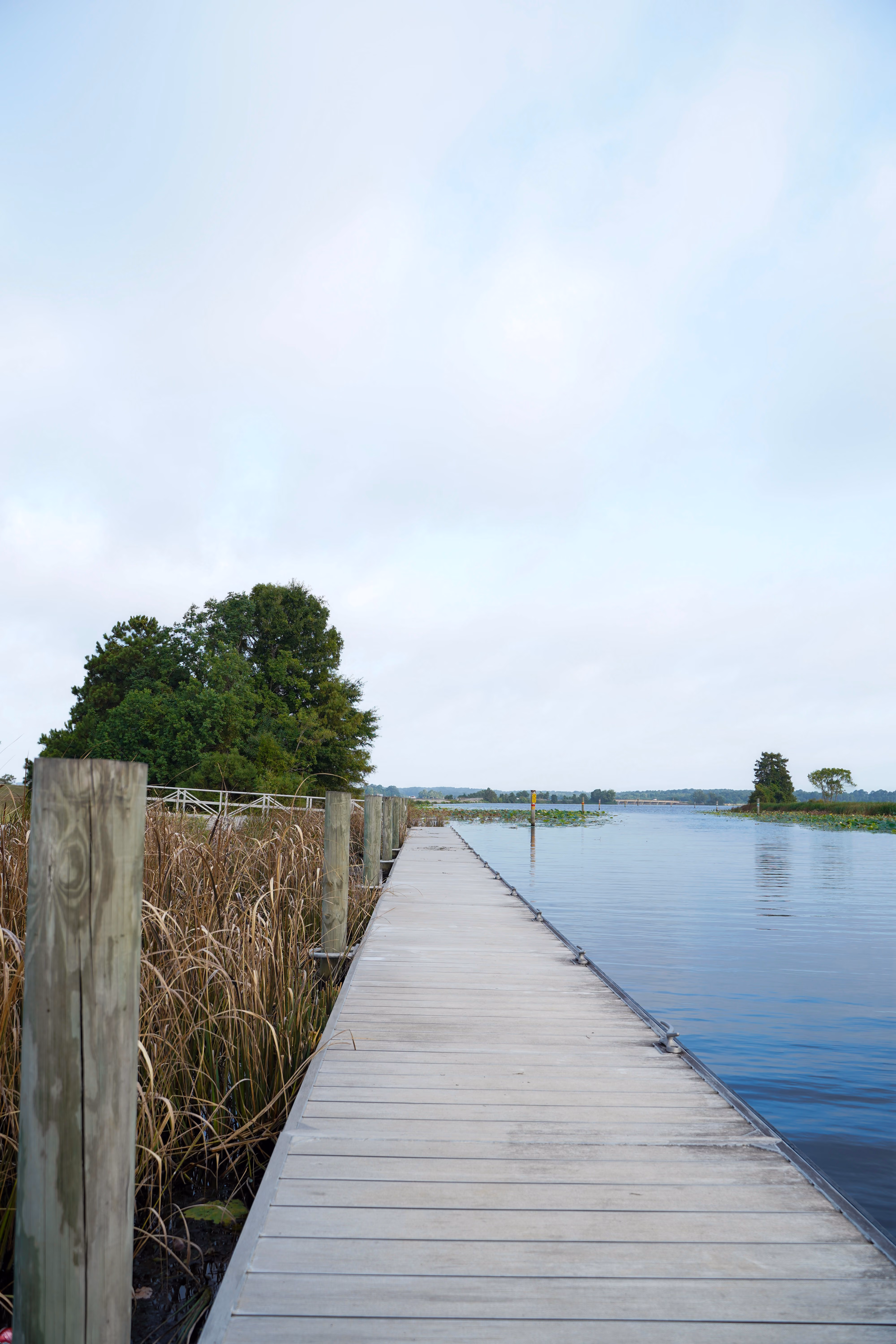 Wooden pier extending over central Mississippi river with green vegetation and trees on the left and right sides under a cloudy sky.