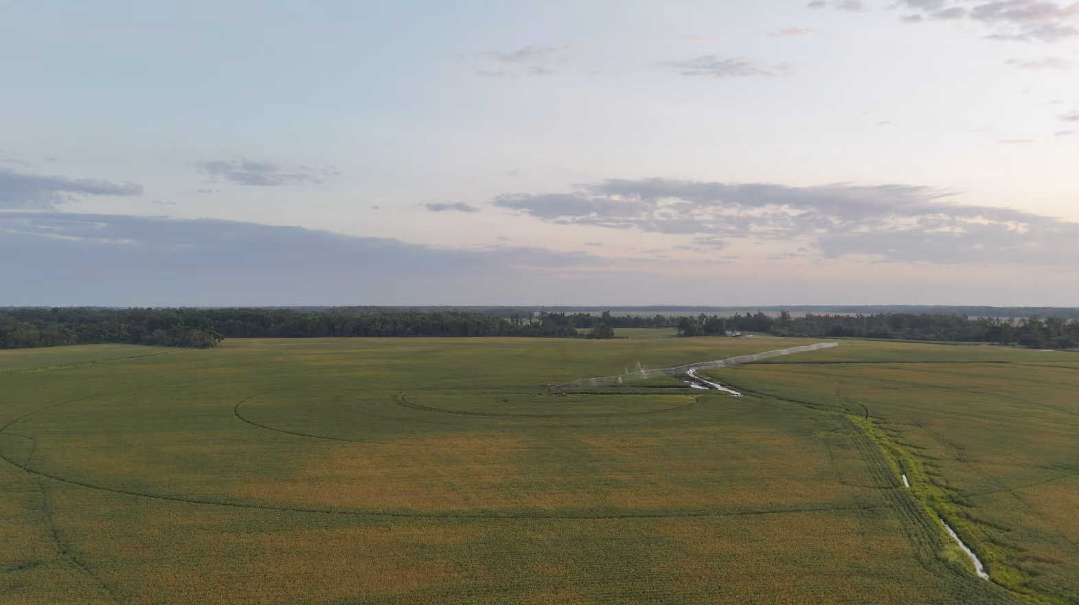 A vast green agricultural field in central Mississippi  under a cloudy sky at sunrise with irrigation equipment watering crops in the center distance.
