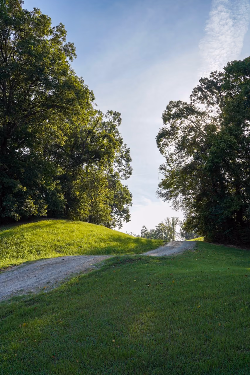 Gravel path winding up a grassy hill surrounded by large leafy trees under a partly cloudy blue sky with sunlight filtering through the branches.