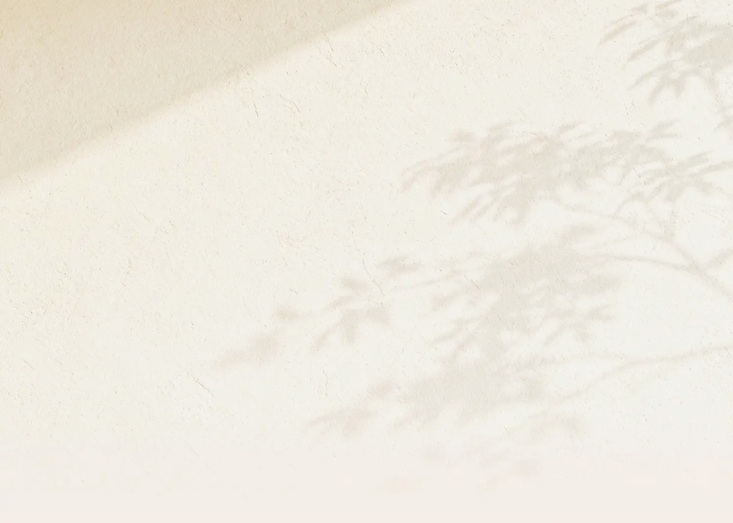 Soft shadow of leafy plant branches cast on a light beige textured wall.