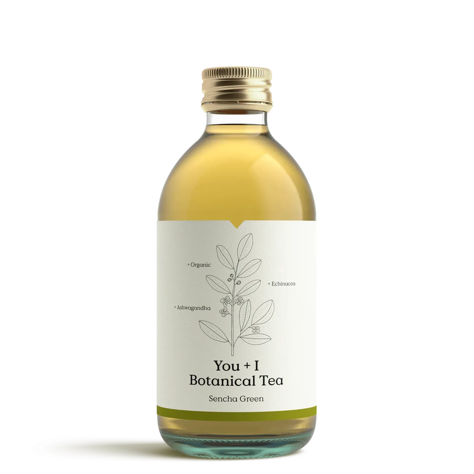 You & I Sencha Green Iced Tea