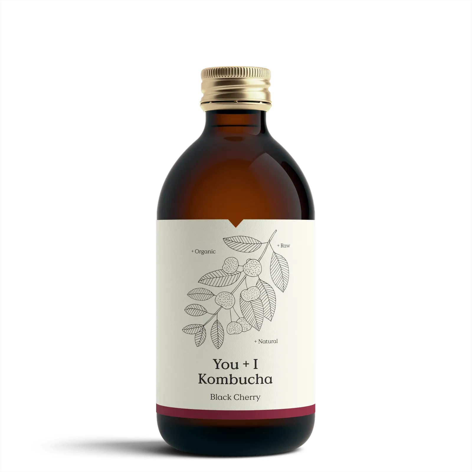 You & I Black Cherry Kombucha
