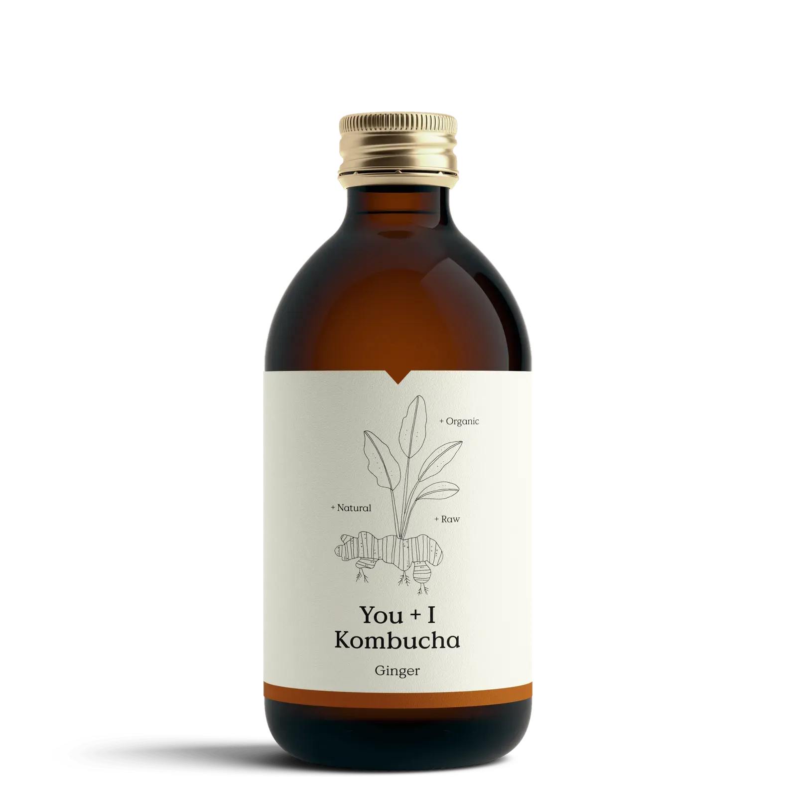 You & I Ginger Kombucha