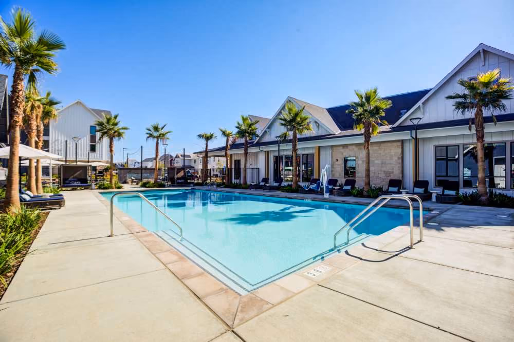 Swimming pool with lounge chairs and palm trees