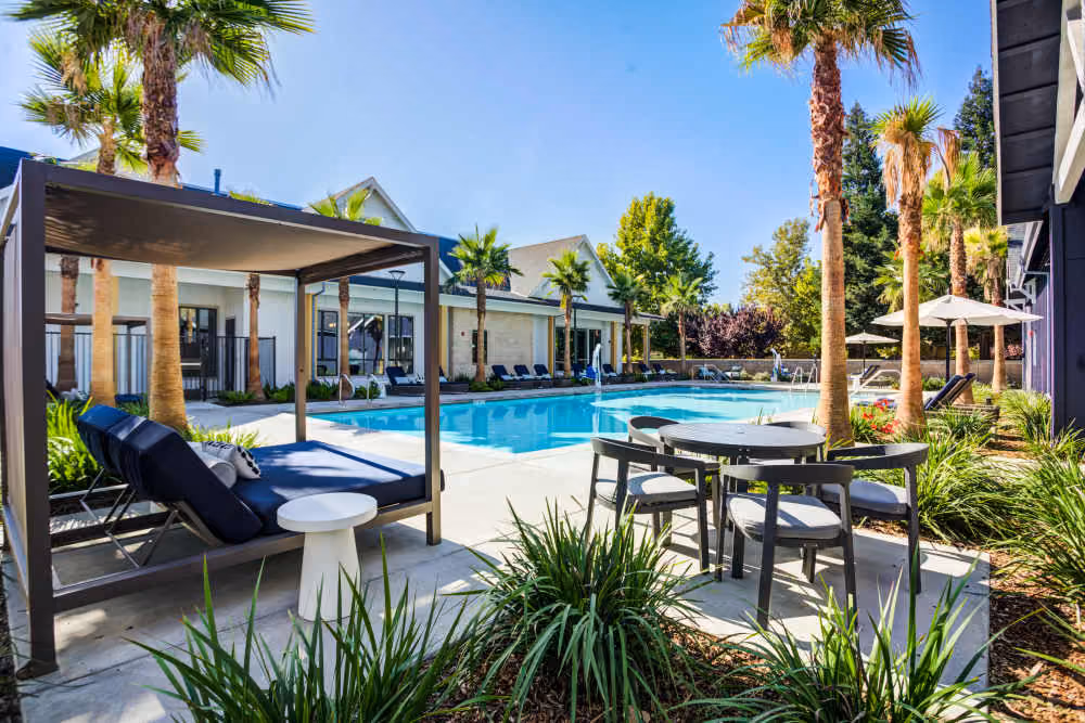 Swimming pool with lounge chairs and palm trees