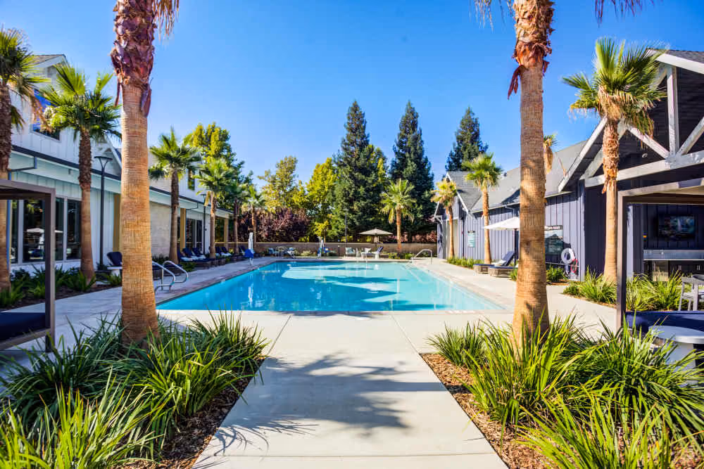 Swimming pool with lounge chairs and palm trees