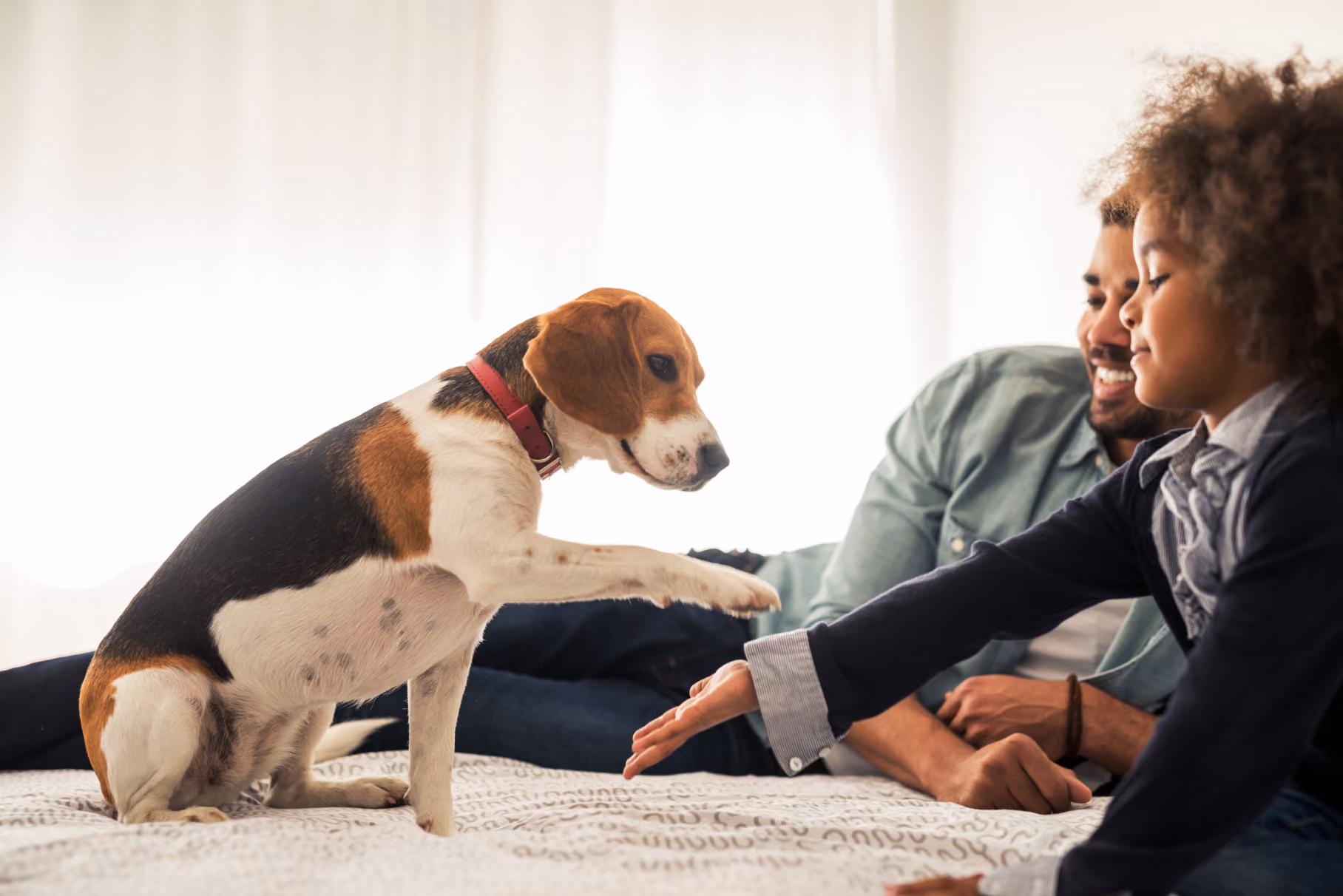 Child with dog stock image