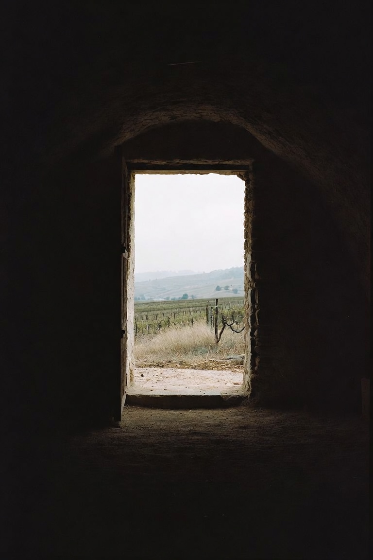 Studio Study No. 01 — Cantina Serralta, digital publication by MODRA