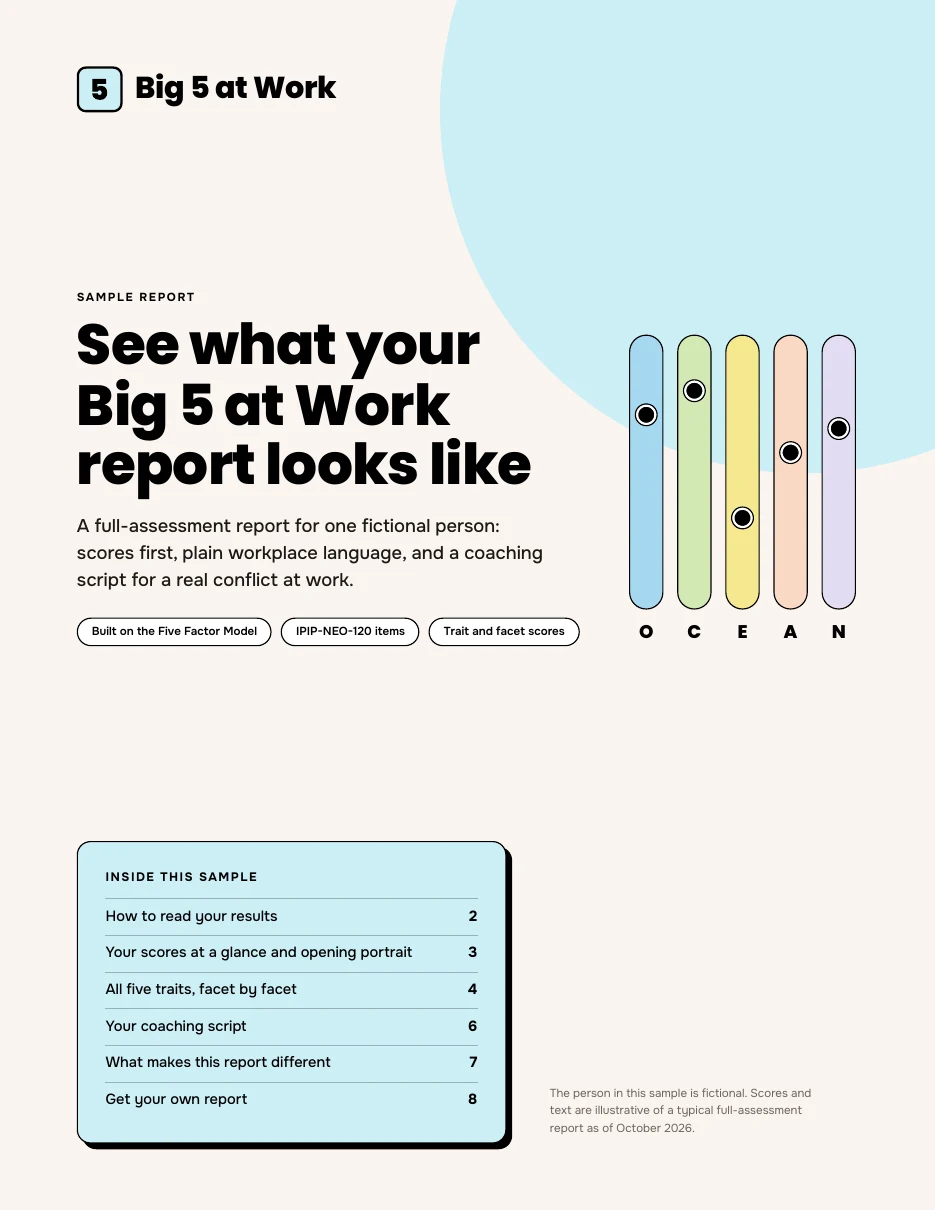 Cover of the Big 5 at Work sample report