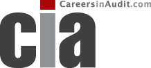 CareersinAudit.Com