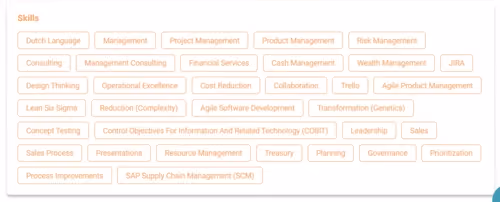 Tags representing various professional skills including Dutch Language, Management, Project Management, Product Management, Risk Management, Consulting, Financial Services, Cash Management, Wealth Management, Business Analysis, Design Thinking, Operational Excellence, Cost Reduction, Collaboration, Trello, Agile Product Management, Lean Six Sigma, Reduction (Complexity), Agile Software Development, Transformation (Genetics), Concept Testing, COBIT, Leadership, Sales, Sales Process, Presentations, Resource Management, Treasury, Planning, Governance, Prioritization, Process Improvements, and Supply Chain Management (SCM).