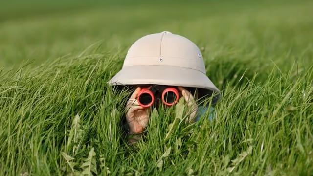 Sourcing vs. recruiting: What is sourcing?