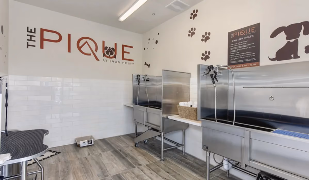 Pet wash station
