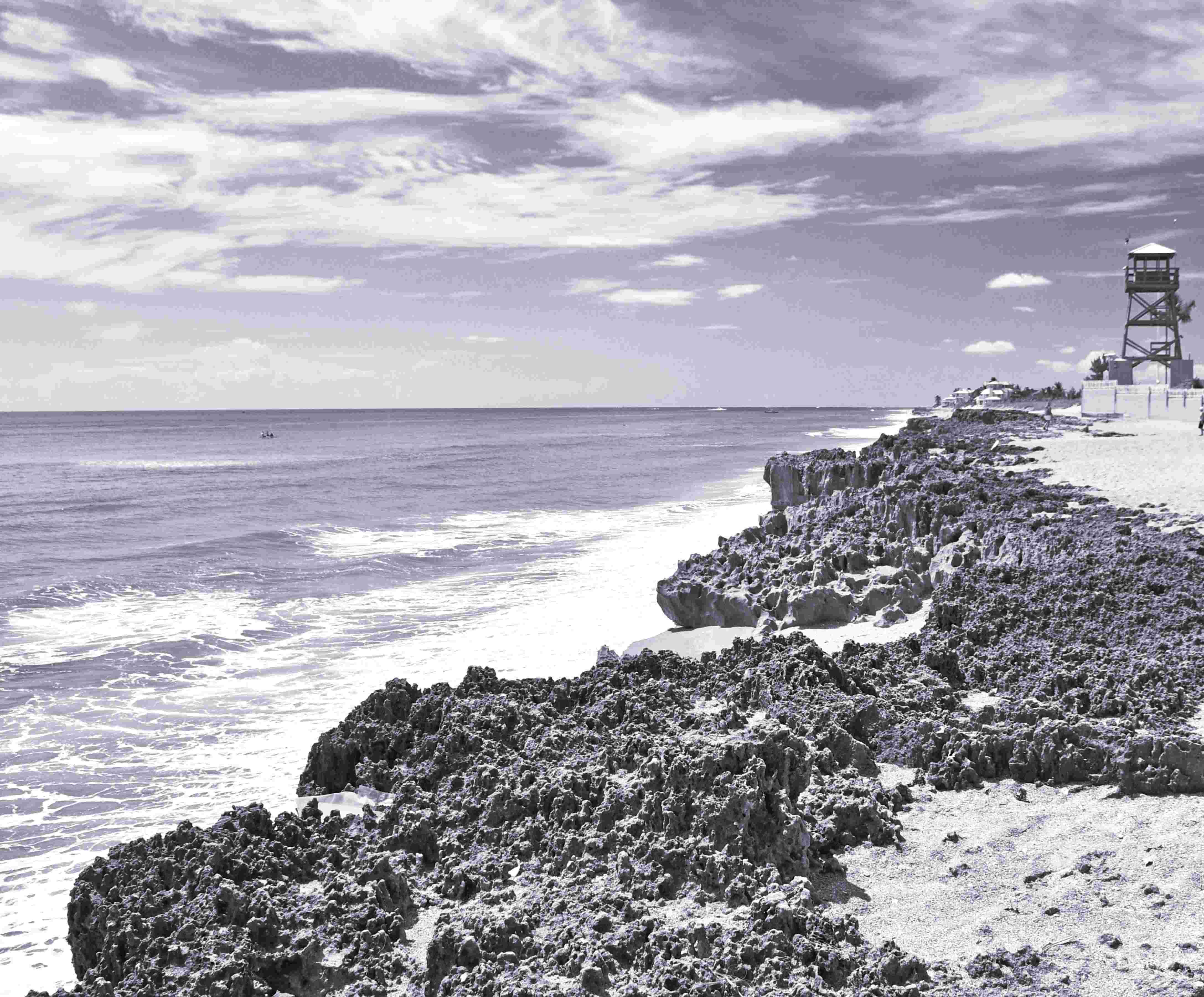 Shoreline of coast with waves