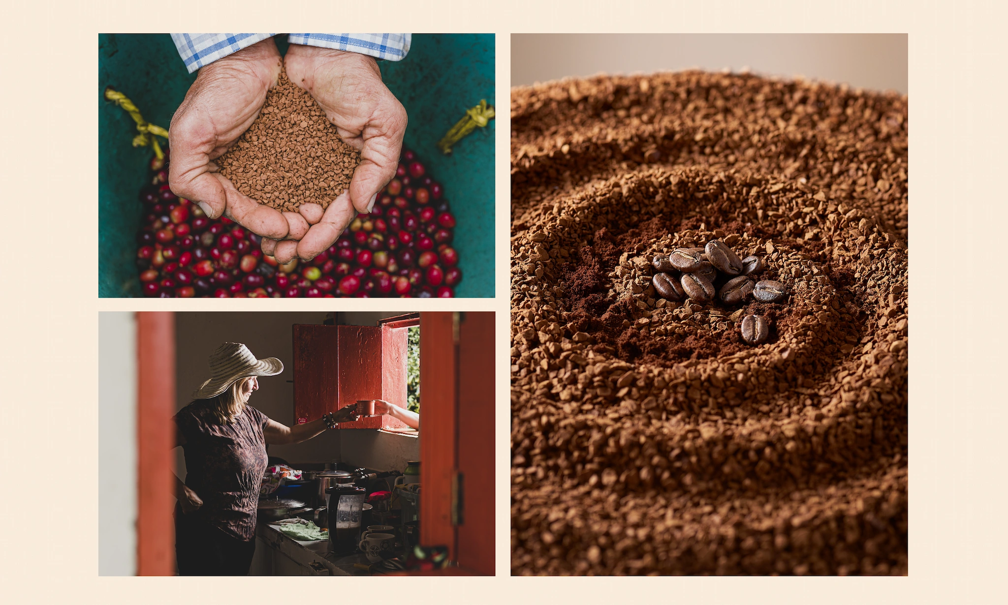 Postales ilustradas de los 50 años de Buencafé sobre proyectos de alimentación y educación para las familias caficultoras